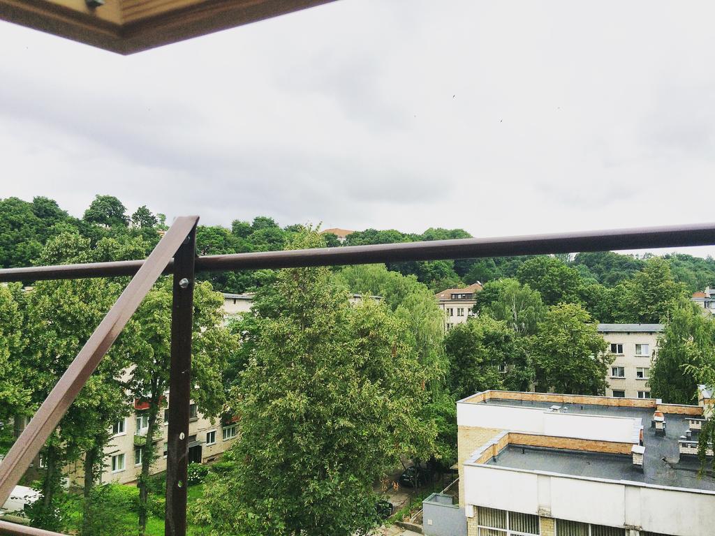 Jolando Apartment Kaunas Esterno foto